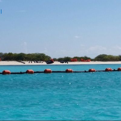 부드러운 표면 UHMWPE 파이프 엑스트루딩 생산